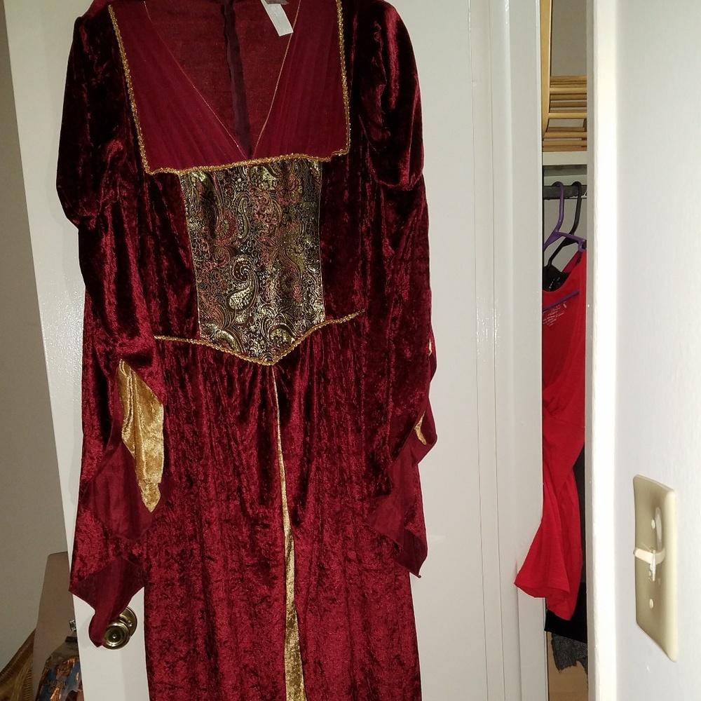Medieval Times dress